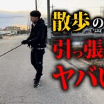 【犬しつけ】お散歩の興奮引っ張りはコレで対処できます【実践トレーニング】