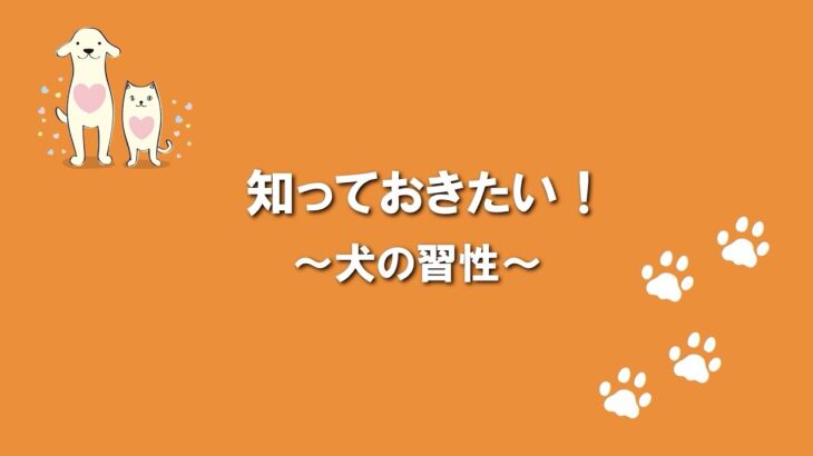 犬のふれあい方・しつけ方 02犬の習性