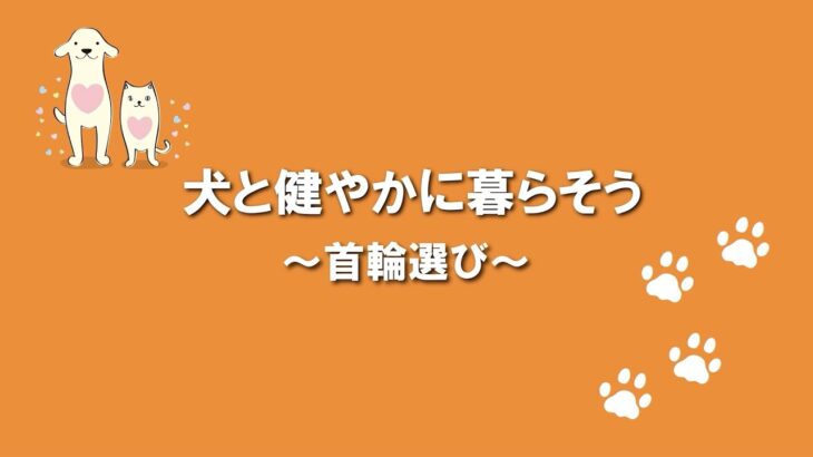 犬のふれあい方・しつけ方 03首輪選び