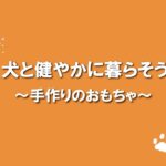 犬のふれあい方・しつけ方 04手作りのおもちゃ