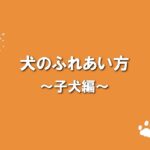 犬のふれあい方・しつけ方 05犬のふれあい方子犬編