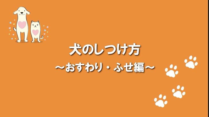 犬のふれあい方・しつけ方 07おすわり・ふせ