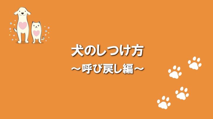 犬のふれあい方・しつけ方 08呼び戻し編