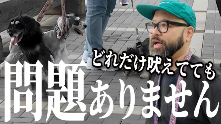 【ドッグトレーニング】1日目にして衝撃の成果が出てしまいました