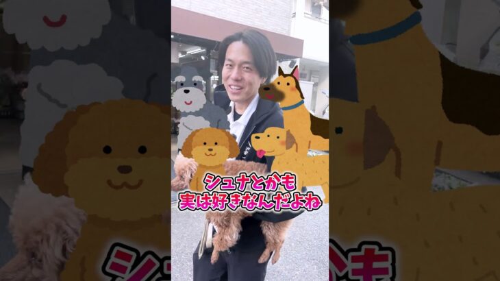 【長編解説もあるよ↑】業界歴10年以上のゆうと先生が飼いたい犬種は？