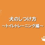 犬のふれあい方・しつけ方 10トイレトレーニング編