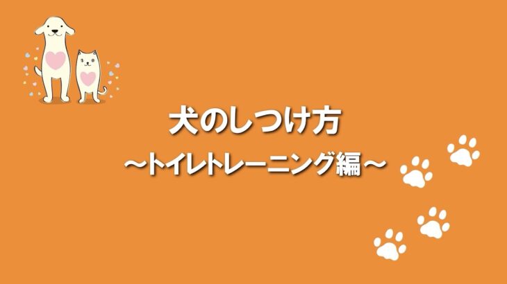 犬のふれあい方・しつけ方 10トイレトレーニング編