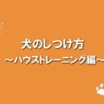 犬のふれあい方・しつけ方 11ハウストレーニング編