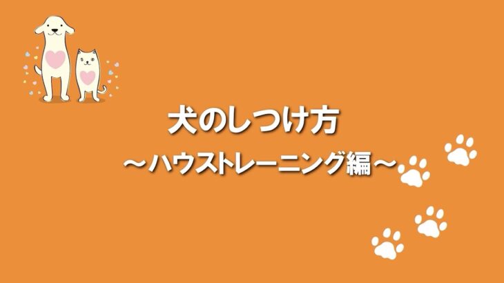 犬のふれあい方・しつけ方 11ハウストレーニング編