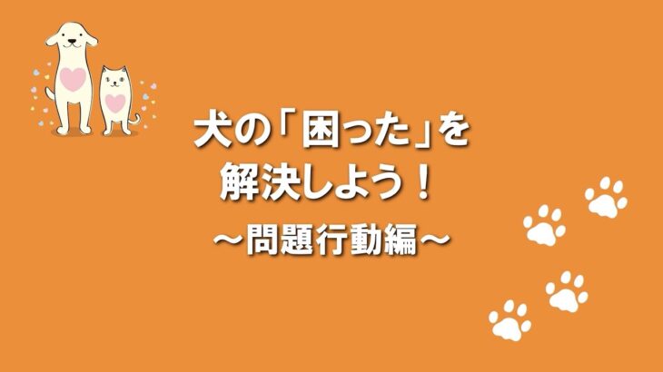 犬のふれあい方・しつけ方 12問題行動編
