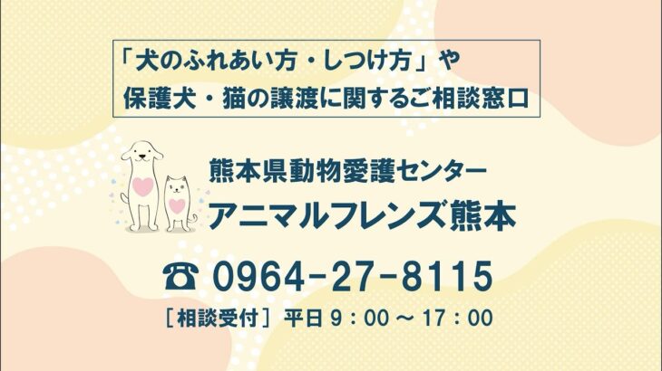 犬のふれあい方・しつけ方 13エンディング