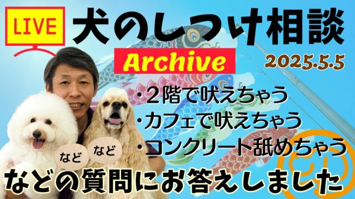 犬のしつけ相談ライブ☆ゲリラライブ【アーカイブ 2025/05/05】