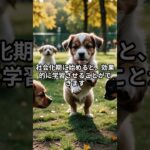 犬の雑学3選：しつけ編　 #雑学 #プチ知識 #犬