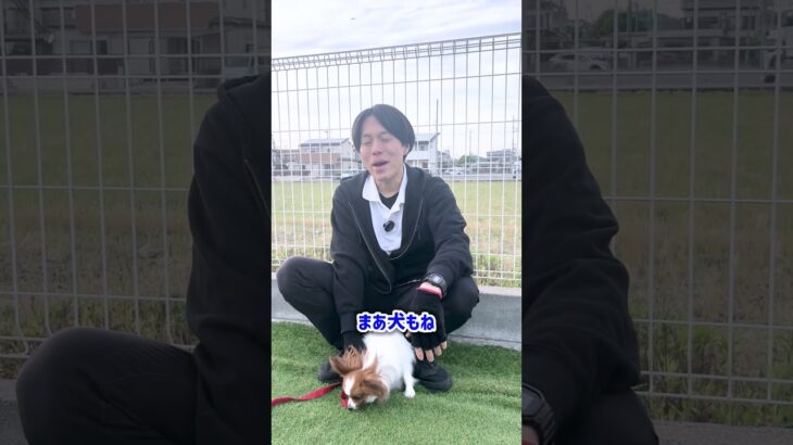 愛犬に信頼される飼い主の特徴3選！