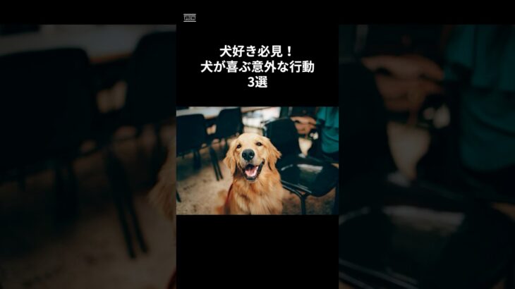 犬好き必見！犬が喜ぶ意外な行動を3選！