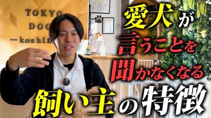 あてはまったら要注意。愛犬がいうことを聞かなくなる飼い主の特徴4選をドッグトレーナーが解説