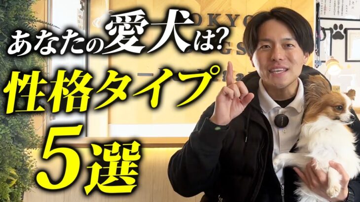 どれにあてはまる？愛犬の性格タイプ5選をプロドッグトレーナーが解説