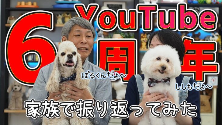 犬のしつけチャンネルでしつけ動画を投稿し始めてから6年が経ちました【6周年】