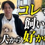 【犬しつけ】愛犬に好かれる飼い主の特徴7選を業界歴10年以上のプロが解説します