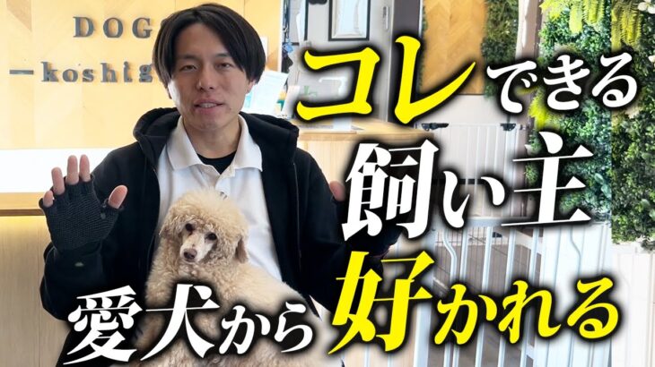 【犬しつけ】愛犬に好かれる飼い主の特徴7選を業界歴10年以上のプロが解説します