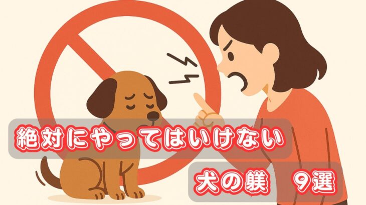 【犬のこころ】絶対にやってはいけない犬の躾 9選