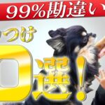 【99%の人が勘違い】この1本でしつけの勘違い10個を完全解説！
