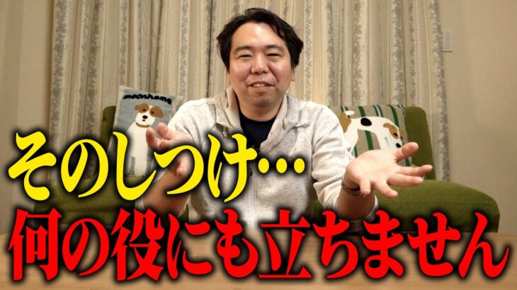 なんでもしつけチェック♪ J-POPにある歌詞はしつけ的にどうなのか！？