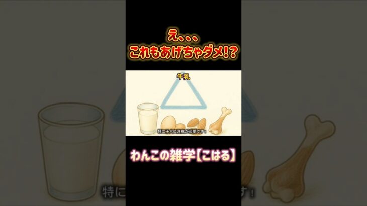 えっ、それもダメなの！？実は犬にあげちゃいけない食べ物、けっこうあるんです🐶大切なわんこの健康のためにチェックしてね！#犬のNG食べ物 #犬にあげちゃダメ #犬の雑学 #犬のしつけ #犬との暮らし