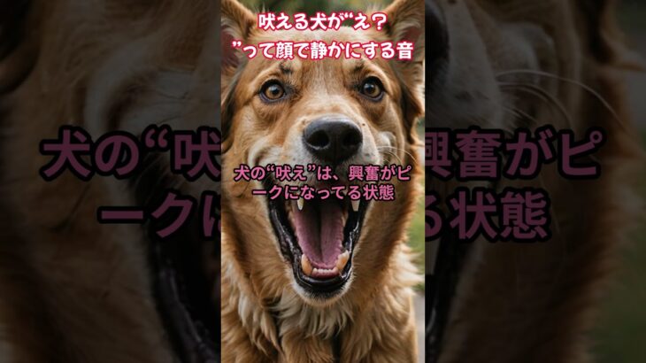 【保存必須】吠える犬が一瞬で静かに…飼い主が驚いた“集中スイッチ音”とは？｜無駄吠え・しつけ対策Shorts