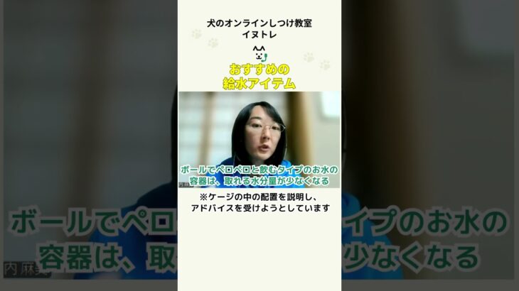 おすすめ給水アイテム/犬のグッズ（長内T） #イヌトレの動画一覧はこちら