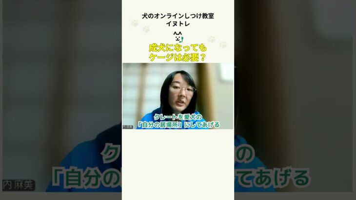 成犬になってもケージは必要？/犬のグッズ（長内T） #イヌトレの動画一覧はこちら