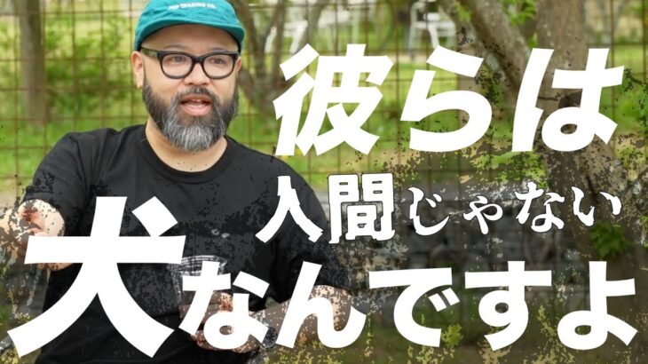 【犬のしつけ】その場でしか聞けない内容を大公開！ドッグトレーニングin愛知県