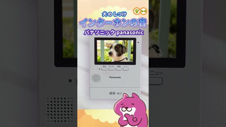 パナソニックのインターホン音【犬しつけ用】チャイム音 panasonic #shorts