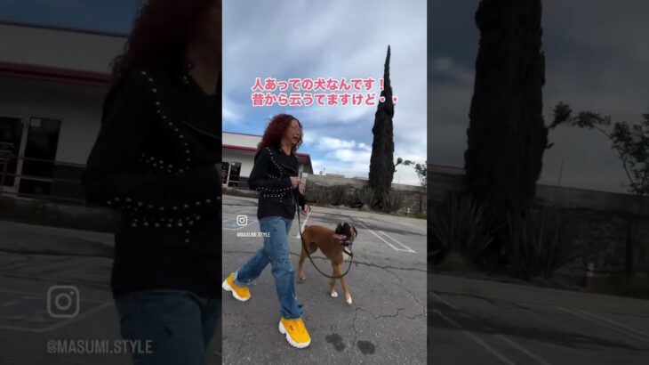 犬任せにしない　#shorts
