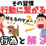 【犬との生活】問題行動を作らないためにも知っておくべきこと#ドッグトレーニング #ドッグトレーナー  #愛犬 #大型犬 #ゴールデンレトリバー #today #トイプードル #小型犬