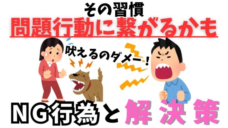 【犬との生活】問題行動を作らないためにも知っておくべきこと#ドッグトレーニング #ドッグトレーナー  #愛犬 #大型犬 #ゴールデンレトリバー #today #トイプードル #小型犬
