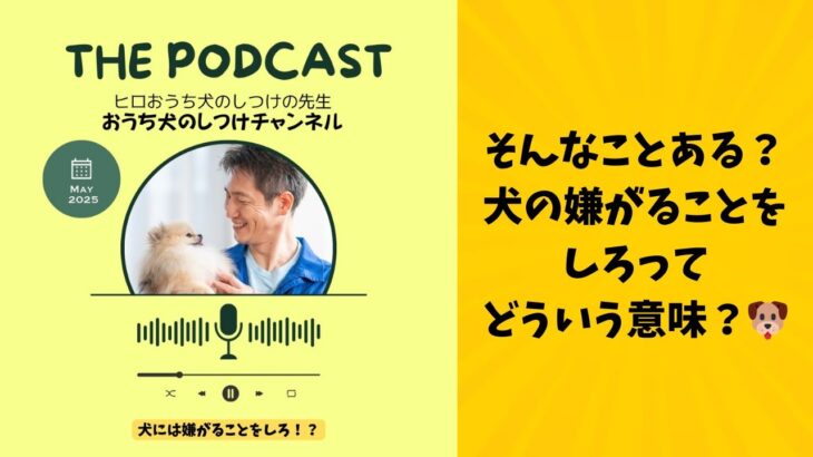 お家で自分でできる犬のしつけをマスターしよう♪