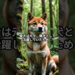 柴犬が無駄吠えしない理由知ってる？ #しつけのコツ #柴犬 #柴ズ母ちゃんのドタバタ劇場の動画はこちら