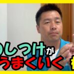 【犬　しつけ入門編①】犬のしつけが上手くいく極意♪まずはこれを意識して！
