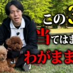【犬しつけ】愛犬がわがままになる飼い主の特徴をドッグトレーナーが解説します