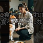 柴犬の「食事」問題！これが理由で食べない？ #しつけのコツ #柴犬 #柴プー