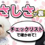 【犬のしつけ】こんな行動してない？犬とのくらし🌟甘やかし度チェックリスト