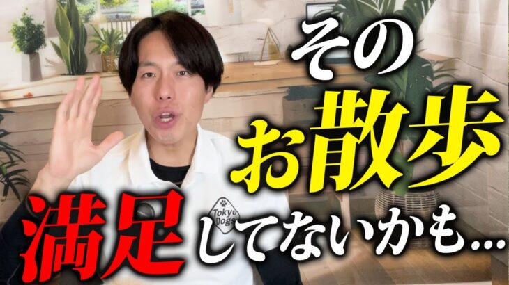 飼い主と愛犬の正しいお散歩時間をプロドッグトレーナーが解説します