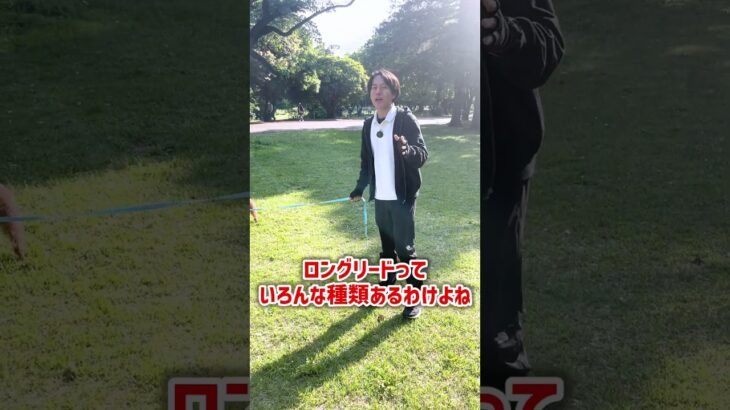 ロングリードで気をつけることは?