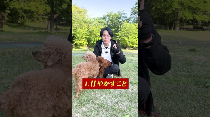 愛犬がわがままになる飼い主の特徴は?