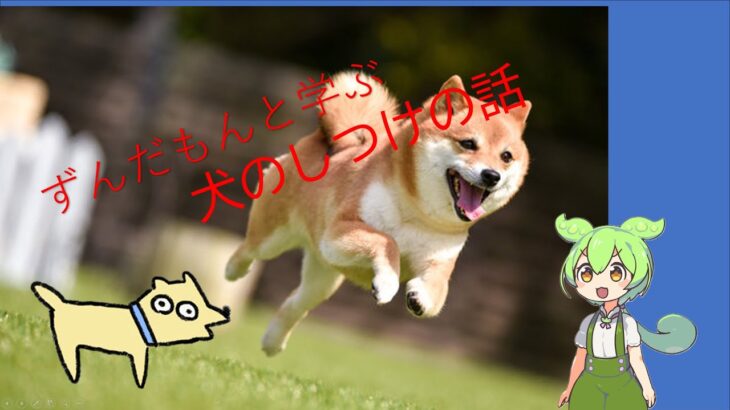 ずんだもんと学ぶ　犬のしつけの話　第一話