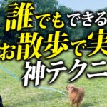 【犬しつけ】愛犬のお散歩がかんたん楽になるコツをプロドッグトレーナーが解説！だれでもできる！