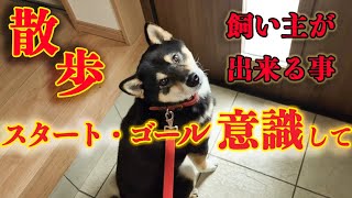【散歩】噛む犬のしつけに悩む人必見！問題犬から噛まない犬への成功体験②