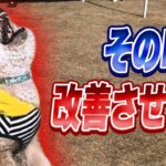 【犬 しつけ】吠える！噛みつく！…すべてしつけて見せましょう【トイプードル】