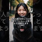黒柴は実は「笑う犬」だった！？その意外すぎるおちゃめ行動の秘密 #しつけのコツ #柴犬 #柴プー